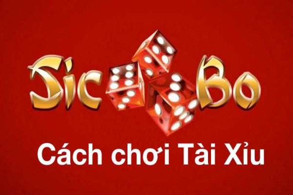 Cách soi cầu tài xỉu hôm nay online chính xác nhất