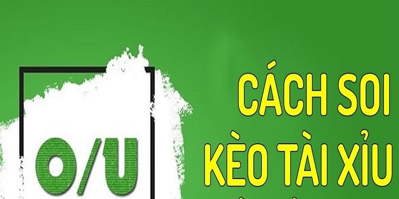 Hướng dẫn cách đọc kèo tài xỉu đúng dành cho người mới