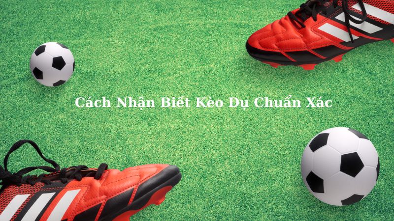 Cách Nhận Biết Kèo Dụ Chuẩn Xác 