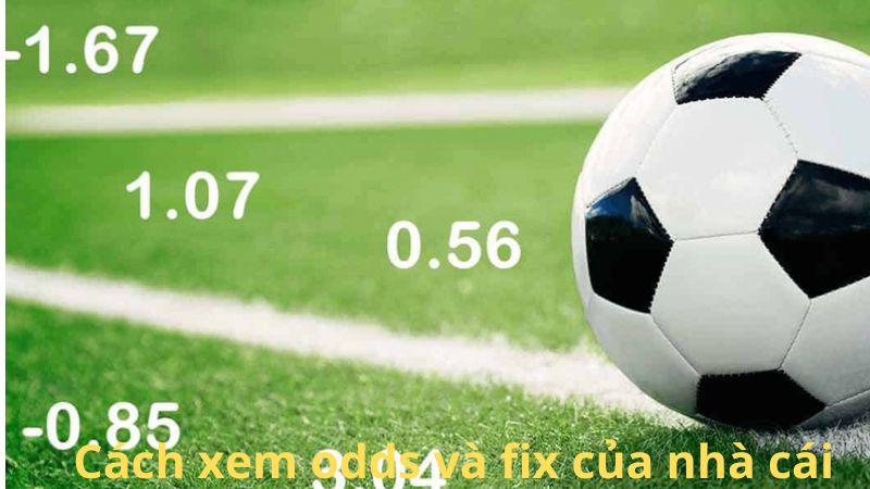 Cách xem odds và fix của nhà cái trong cá cược bóng đá